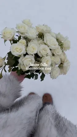 snow falls