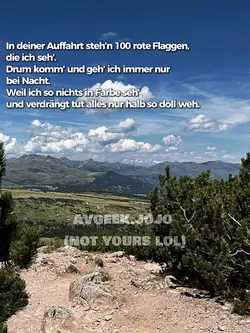 100 rote flaggen