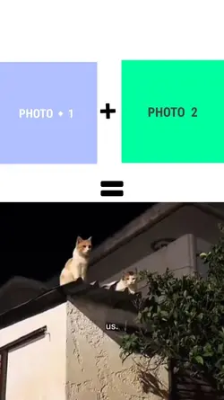 new template