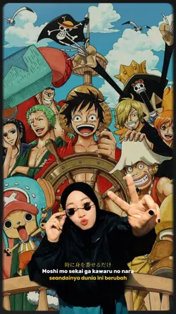 one piece memories