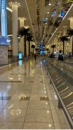 One night in dubai