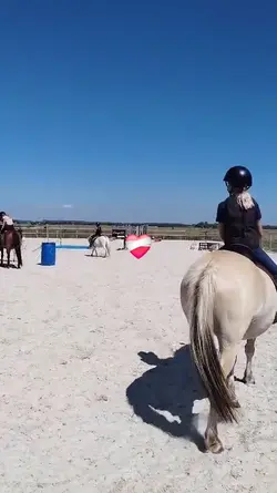 les chevaux 