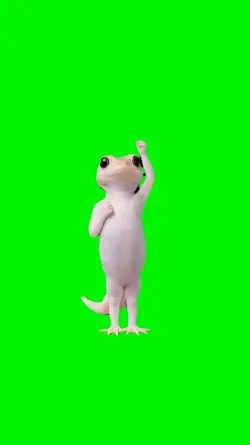 gecko dancing