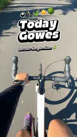 GOWES TIPIS TIPIS