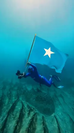 The Somali flag