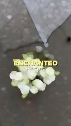 [21] ENCHANTED