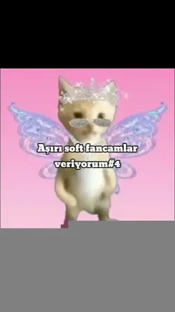 Aşırı soft fancamlar