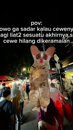 CEWE HILANG