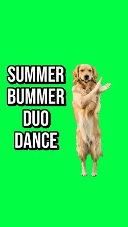 SUMMER BUMMER DANCE