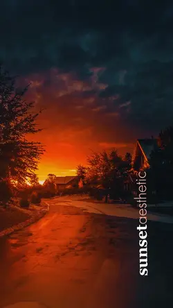 Sunset Aesthetic❤️
