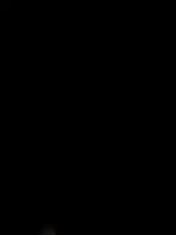 兩三句