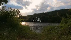 انس هبوبي 