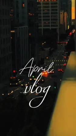 Vlog moments