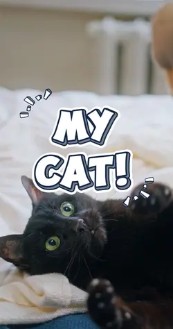 My Cat