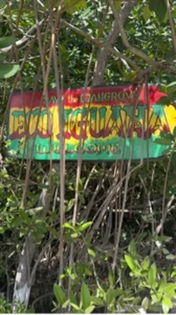 Iguana sanctuary! 
