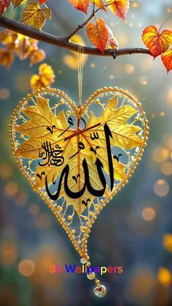 نصیب والوں میں میرا 
