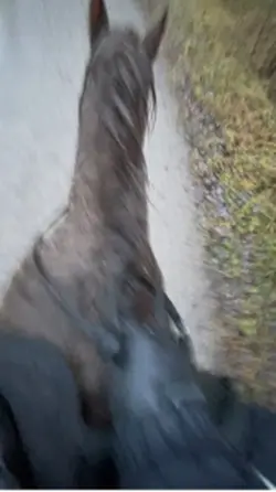 älskade💔