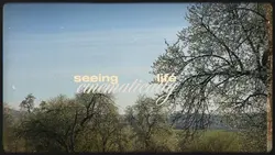life - cinematically