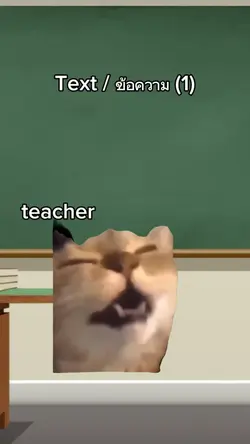 The cat talks a lot 