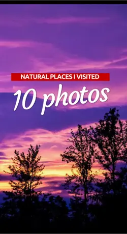 Nature Photo sync 🍃