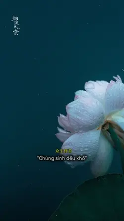 1 ẢNH