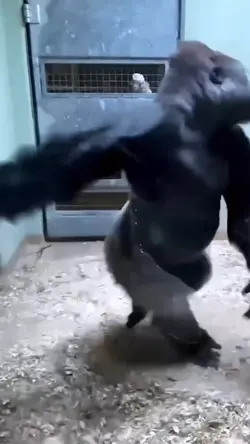 Spin 🤣
