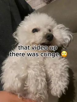 So cringey 🙄