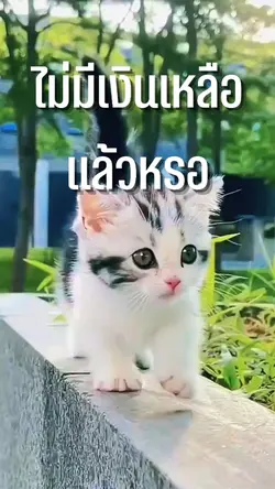 ไม่มีเงินเหลือแล้ว