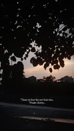 Tiam sis kuv ho xav 