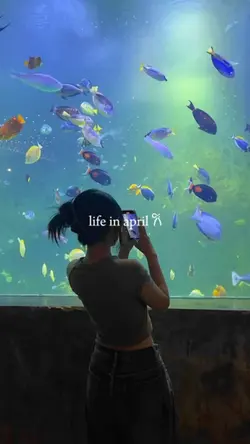 life in april