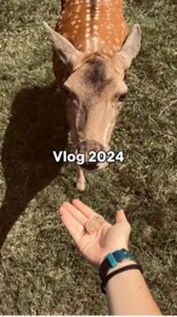 Vlog Noël 