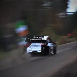 Rally