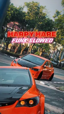 Harpy hare FUNK HD