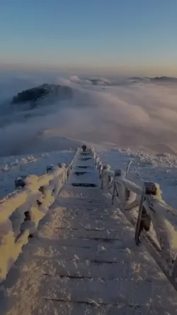Cinematic winter