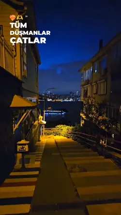 Yeni şablon