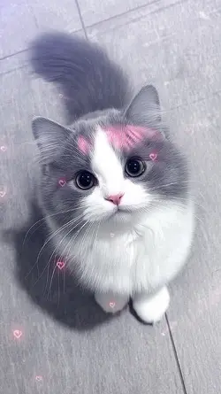 curi curi pandang