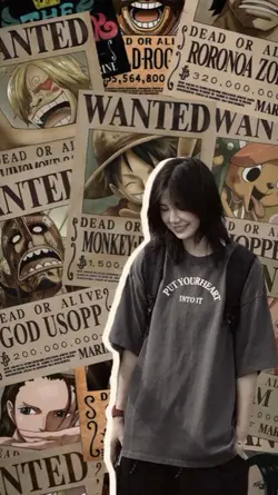 poster one piece