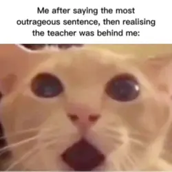 The teacher…