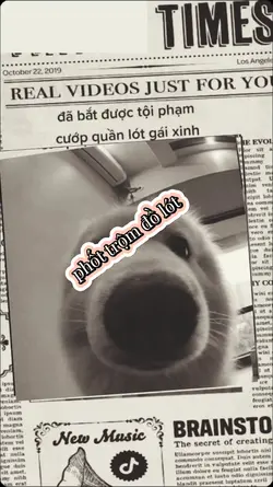 Mẫu 1 ảnh troll