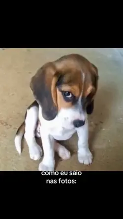 Vou tirar foto putão