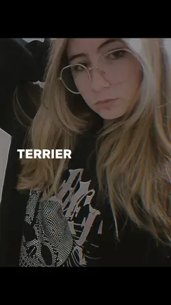 Pitbull terrier