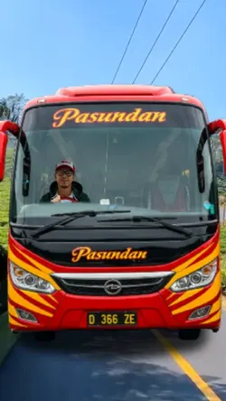 Buss Mania