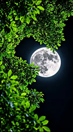 Filter iPhone HD 
