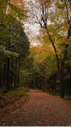 🫶🏼🍂🤎🦌