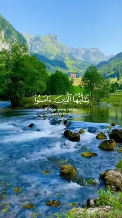 Quran Recitation 