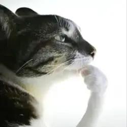 HEUMMM