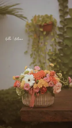 Mẫu 10 ảnh ( video )