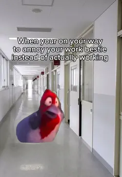 Your on your way 