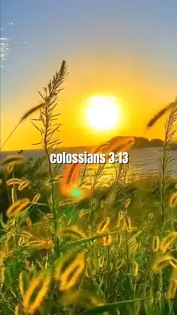 Colossians 3:13
