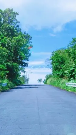 ライラック/ミセスグリーンアップル